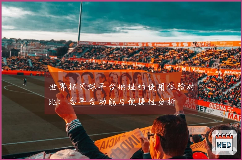 世界杯买球平台地址的使用体验对比：各平台功能与便捷性分析