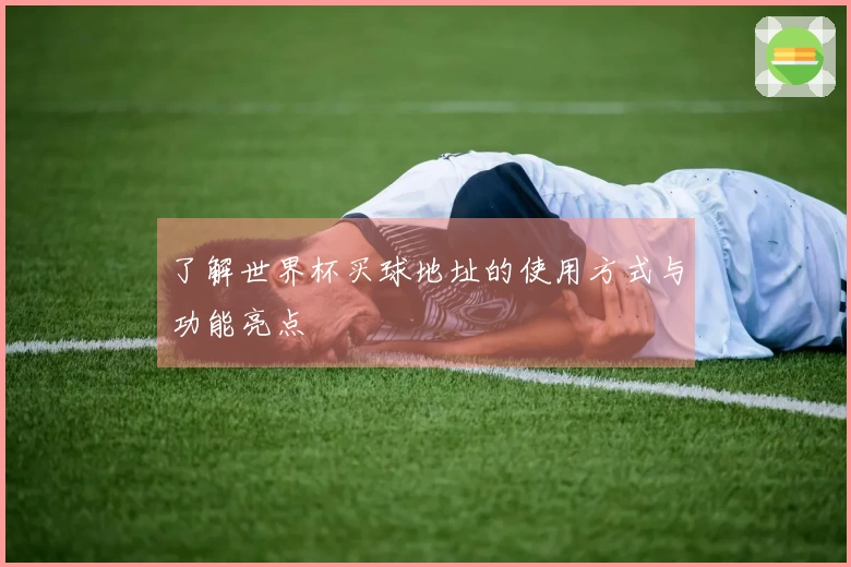 了解世界杯买球地址的使用方式与功能亮点