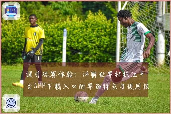 提升观赛体验：详解世界杯投注平台APP下载入口的界面特点与使用技巧
