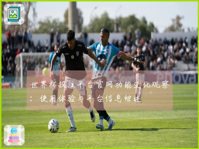 世界杯投注平台官网功能变化观察：使用体验与平台信息综述