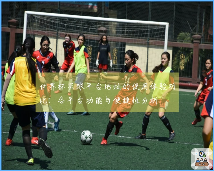 世界杯买球平台地址的使用体验对比：各平台功能与便捷性分析