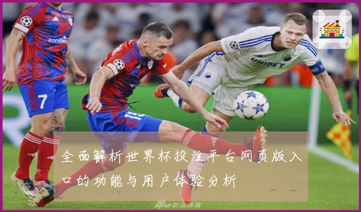 全面解析世界杯投注平台网页版入口的功能与用户体验分析